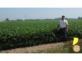 Property photo 18 - 470 Acres Mostly Productive Tillable Land - 6 Tracts